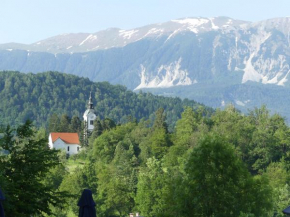 Apartmaji Baron Bled
